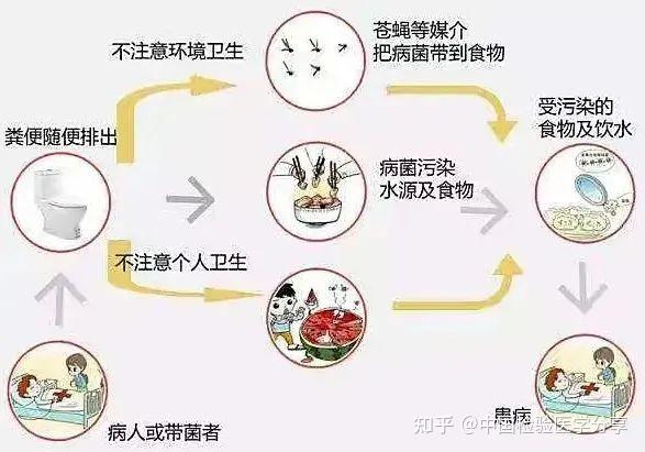 什么是霍乱?霍乱的起源 - 知乎