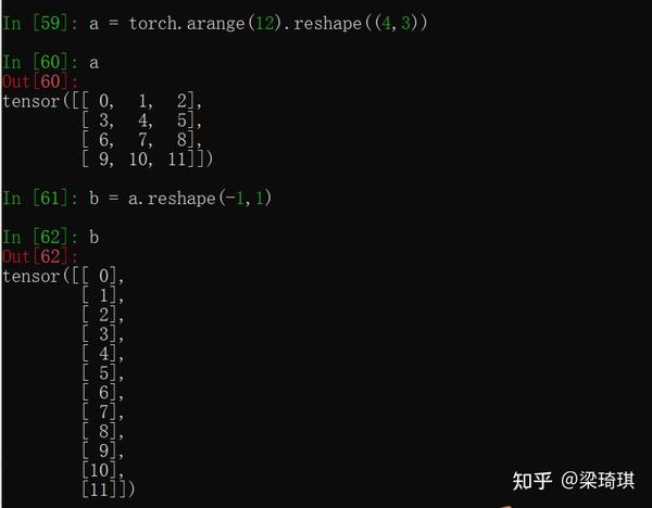 Pytorch reshape 1 1 