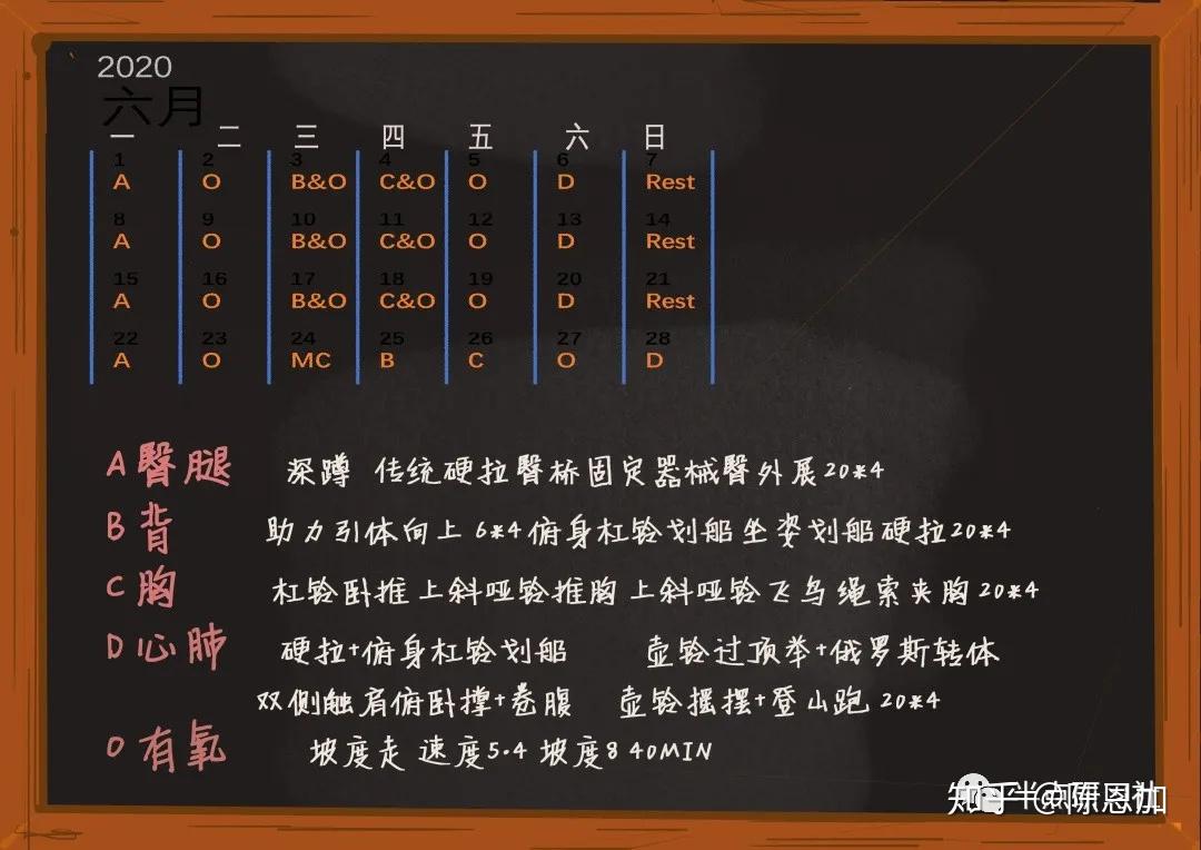生理周期全解及训练方案指南，女生须知！男生需转！ | 半点训练