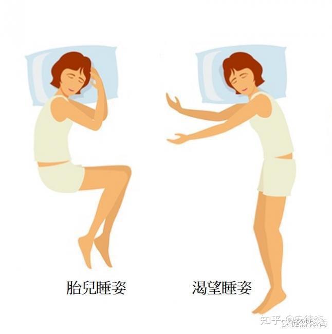 侧睡、仰睡、趴睡对健康科学佐证的睡姿分析与实用建议 - 知乎