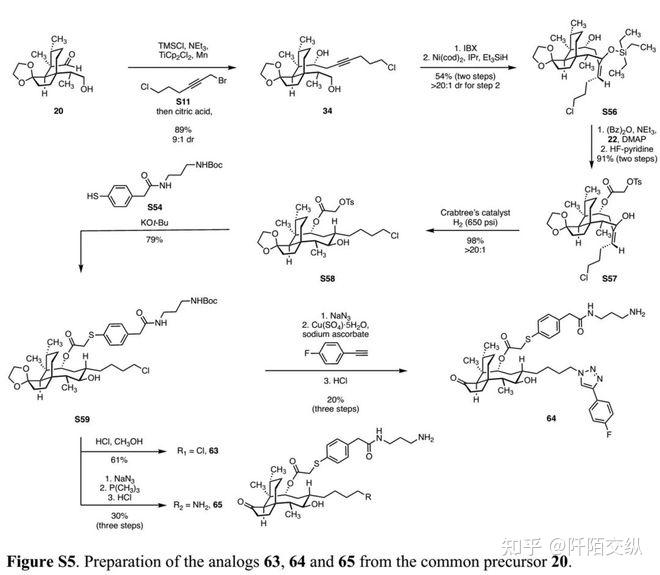 【有机】Science后再发Nat. Chem.：17个结构多样性pleuromutilin类抗生素的全合成 知乎