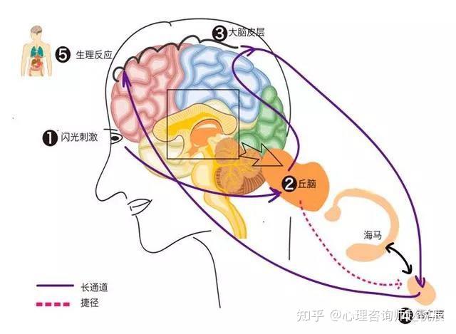 货拉拉女孩跳车身亡18天后6分钟监控曝光凶手不是司机竟是他们