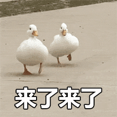 最近很火的抓鸭子是什么梗表情包来了