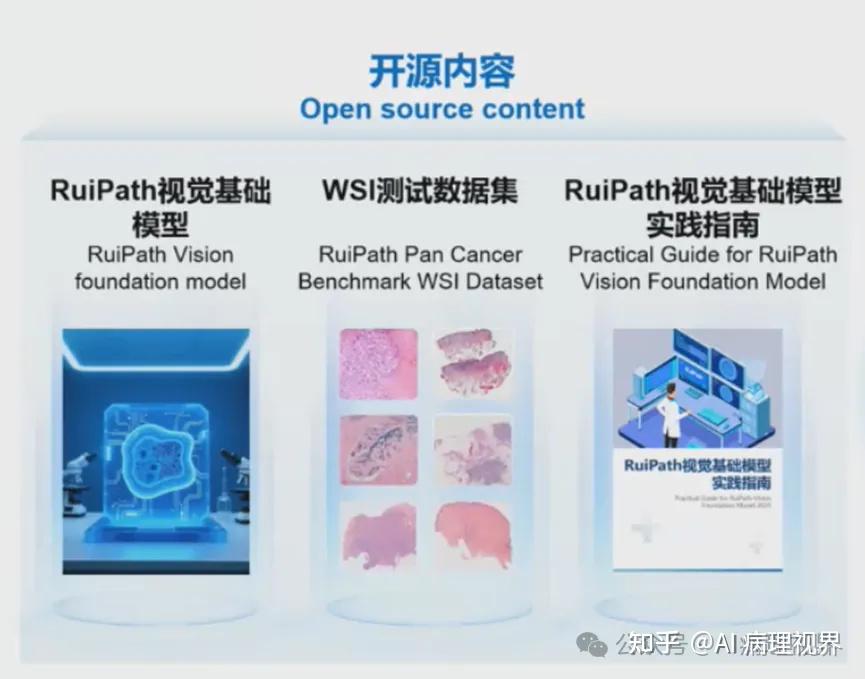 深度洞察 | 瑞金医院RuiPath病理大模型开源！从系统搭建到智能体集成，还有哪些关键亮点？ - 知乎