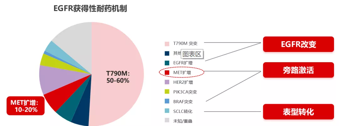 深入解析met檢測在nsclc中的意義與方法