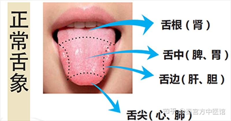 請問我這個舌成溝是正確的嗎舌成溝怎麼用到實際唱歌