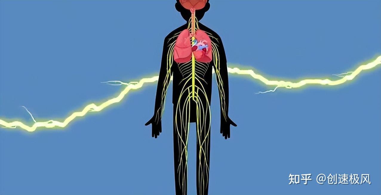 生肉模拟电击看见即背后一凉人体触电后果有多可怕
