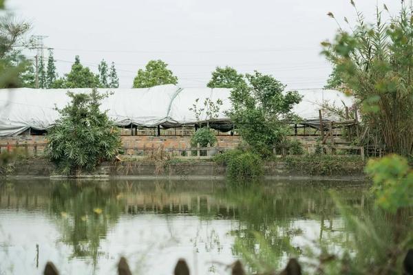 凡朴农场 从质朴田园到未来探玩综合体 不止101种玩法 知乎