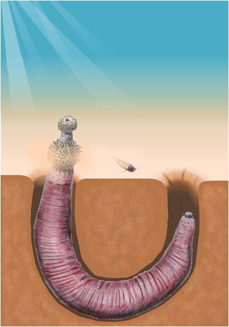 寒武纪十大恐怖生物图片