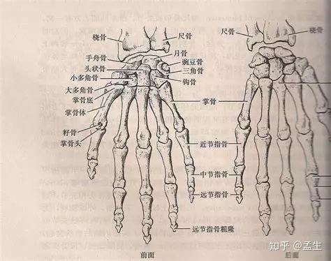 护具全面使用指南——护腕综合指南 - 知乎