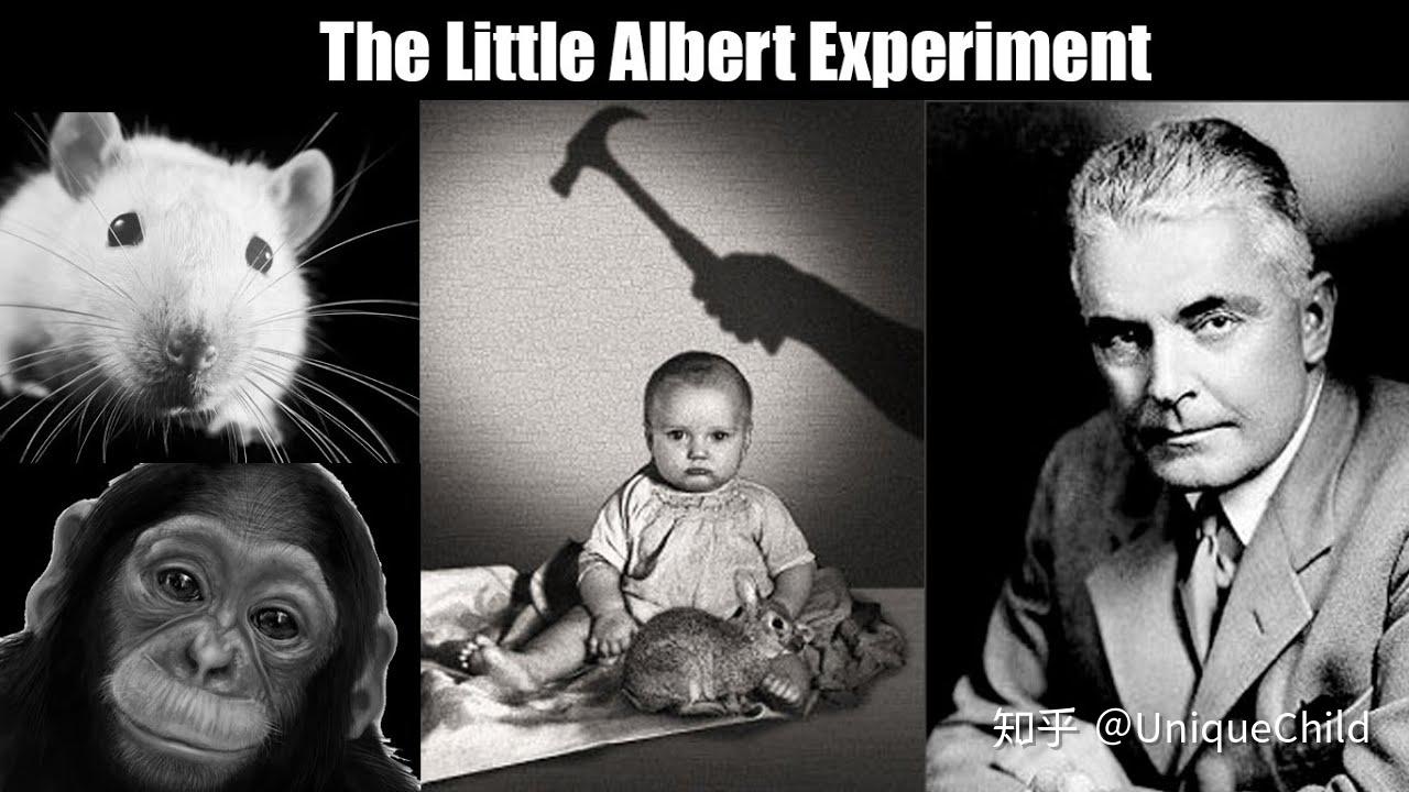 华生的小阿尔伯特实验图片