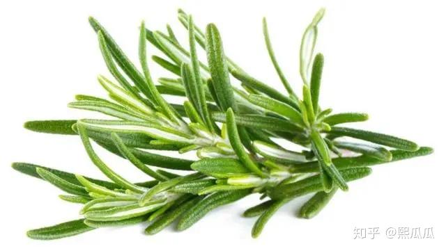 对于皮肤控油使用迷迭香 海盐产品就可以保持皮肤的透水度,在内陆不