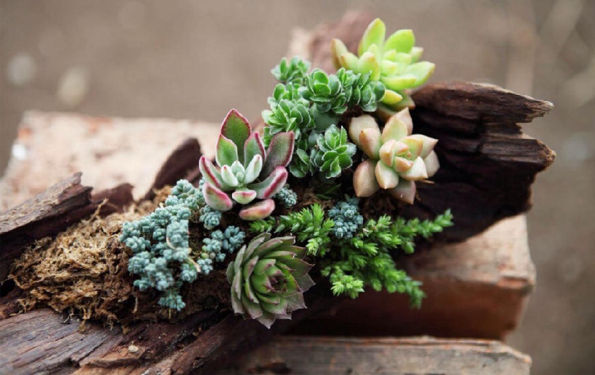 v2-67849f3c9e1c7176beef310747e9dbab_1440w.jpg?source=172ae18b