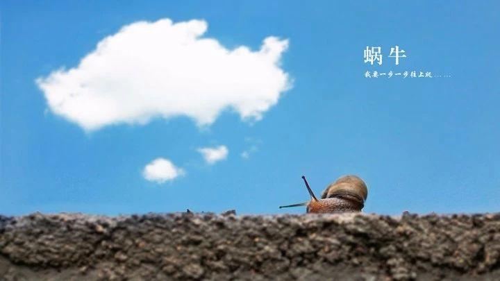 v2-678aa12377242f841450c2c2b80755cd_1440w.jpg?source=172ae18b