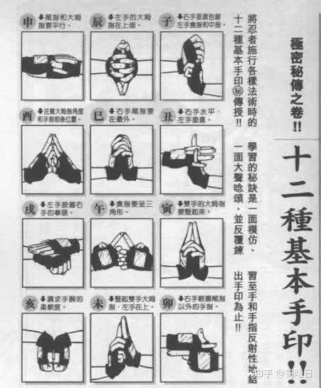 火影忍者有多少手势? 2 v2 679a85a83fb0bcd2fc284c9148d50444 720w