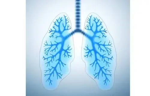肺气为秋季主气,秋季养生记住这7个小知识,冬来肺部不生病 知乎