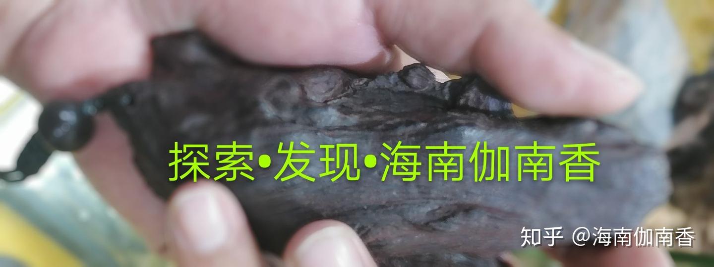 考证伽南（奇楠）香名是否来自梵文？ - 知乎