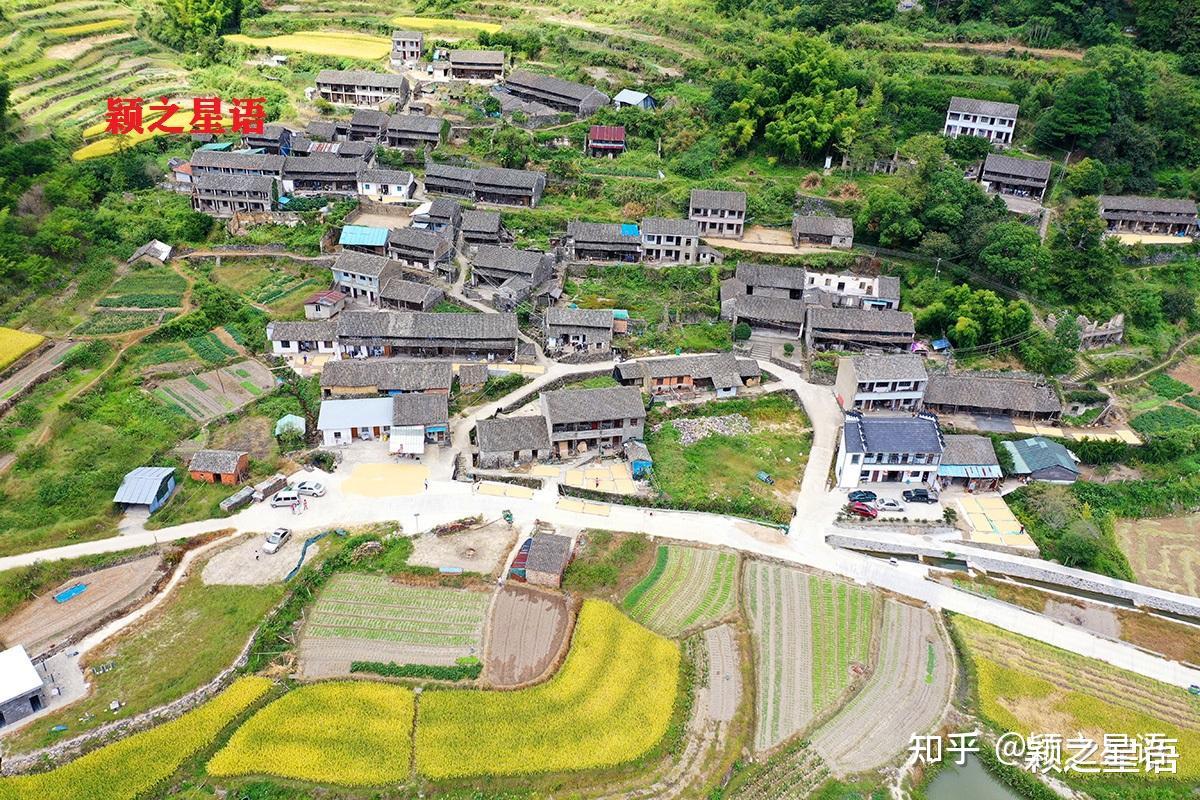 美丽的家乡，中国进士第一村，耕读之乡—东岙村 - 知乎