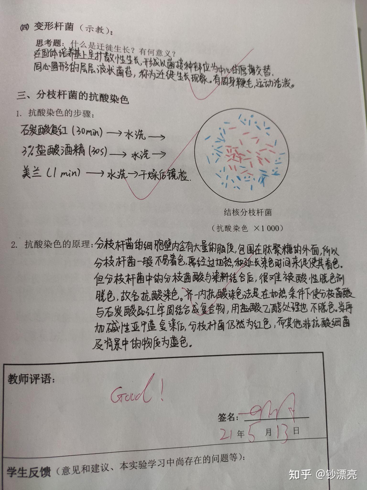 抗酸染色实验报告画图图片