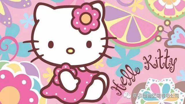 忆童年,这些经典的以猫为主要形象的动画片,你看过几部 - 知乎