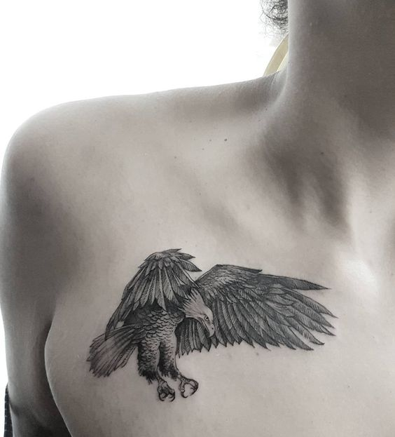 纹身鹰的图片前胸的图片