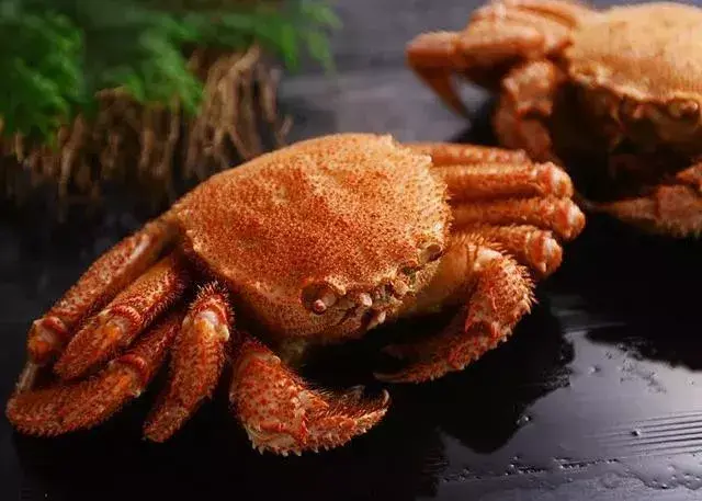 蟹)日本有三大名蟹,分别是:札幌的帝王蟹,宗谷的毛蟹和鸟取县的松叶蟹