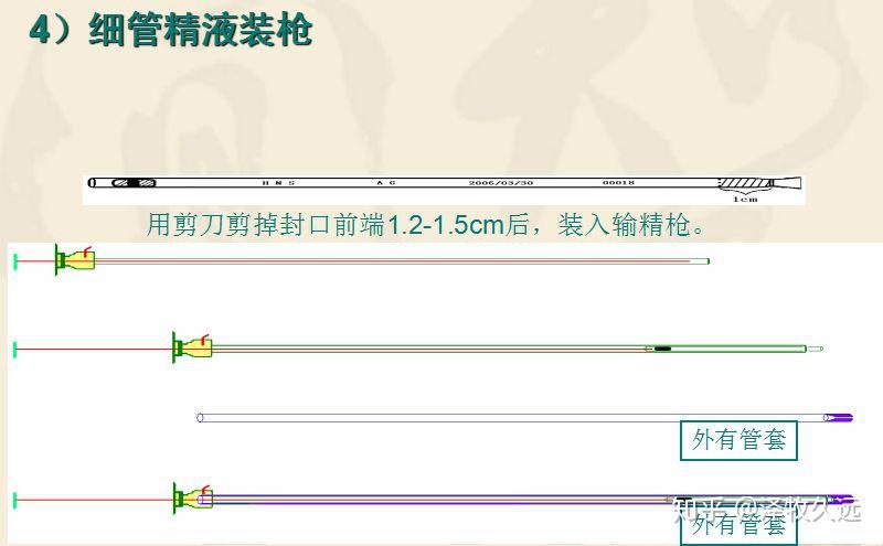 牛人工授精的步骤图图片