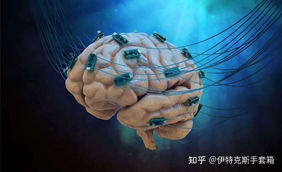 从猴子到人类脑机接口大脑芯片真的能实现吗