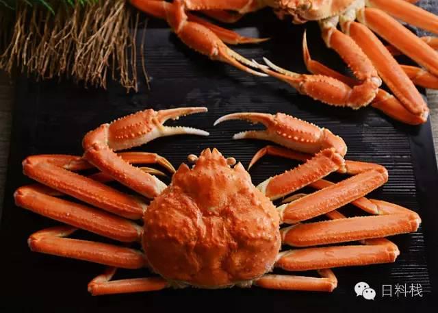 松叶蟹长腿叔叔的黑历史