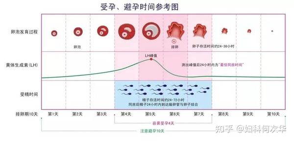 备孕小技巧：同房后增加受孕率的姿势，倒立还是躺平？ 知乎