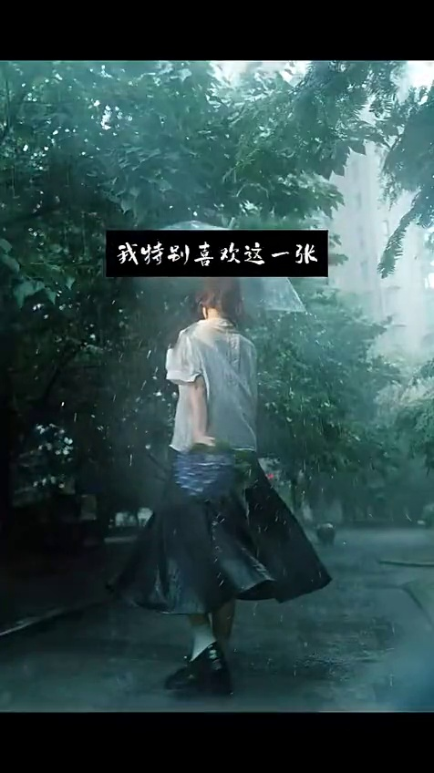 摄影作品赏析day8|雨天神作|小口天子老师