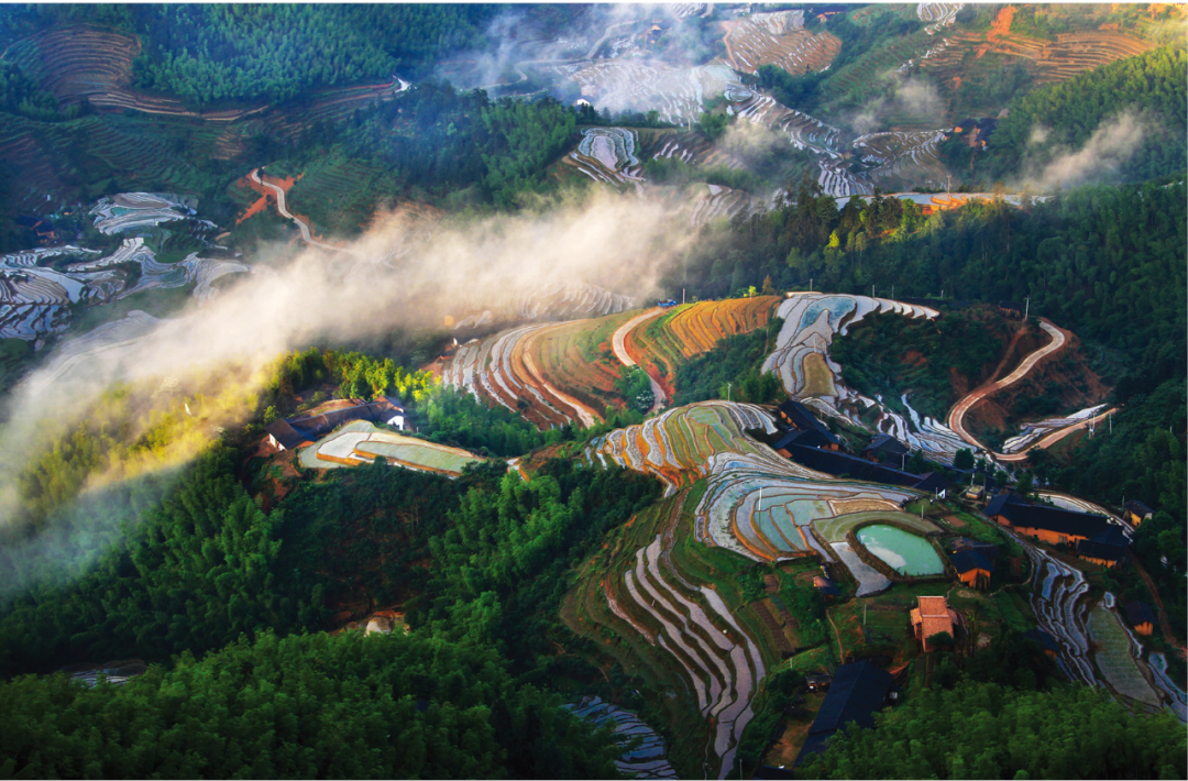 绿水青山就是金山银山实践模式与典型案例13丨江西省崇义县依托生态