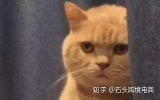 上海支付公司整改_上海支付公司一机一户_上海支付公司