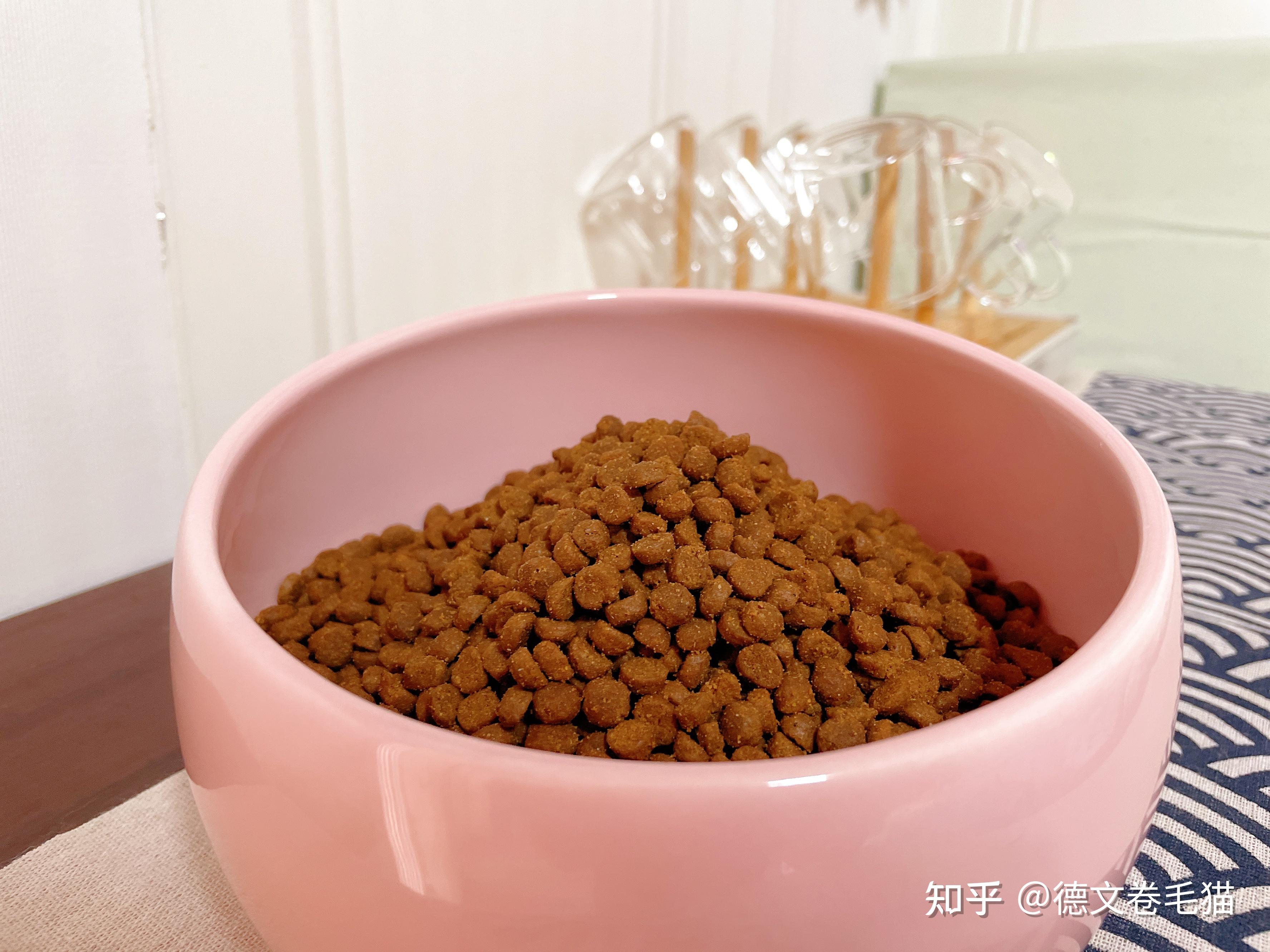 不得不分享的幼猫繁育经验!——百利幼猫粮测评 - 知乎