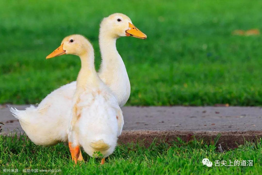 咸蛋黄是从咸蛋里分离出来的么?用什么办法分