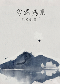 雪泥鸿爪