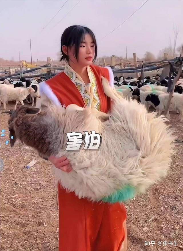 草原女汉子杀羊图片