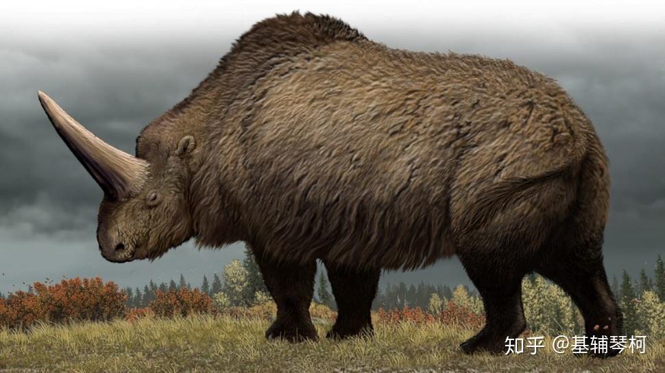 新生代巨兽猛兽及其他掠食者精简名录古兽争锋榜第四纪篇