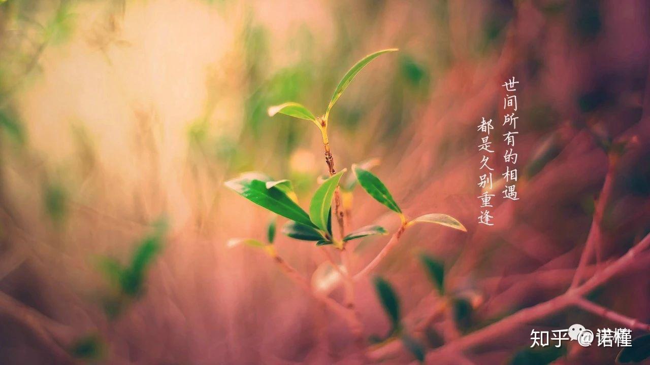 清风明月也等你连载3 - 知乎