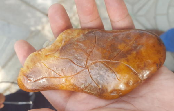 唐河彩玉是什么冒充黄沁籽料的唐河彩玉