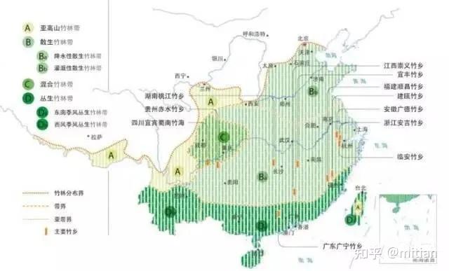 竹类植物识别图鉴(超全),值得珍藏! - 知乎