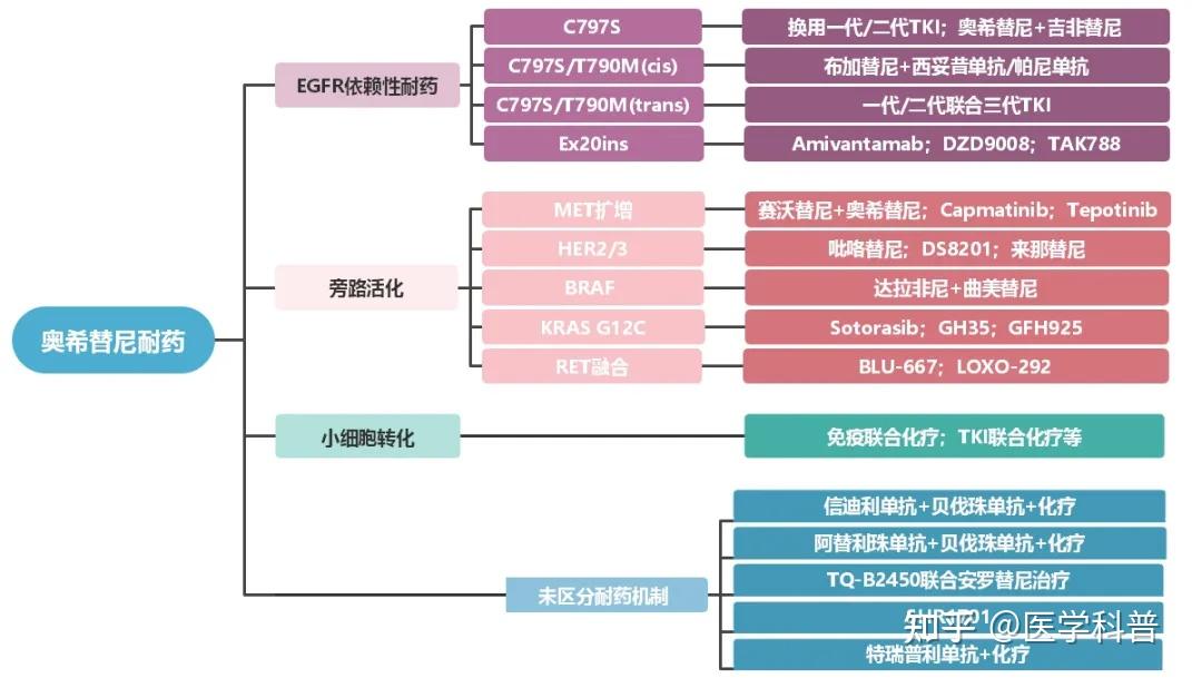 egfrtki耐药是继续靶向治疗还是选择免疫治疗如何选择疗效更优的治疗