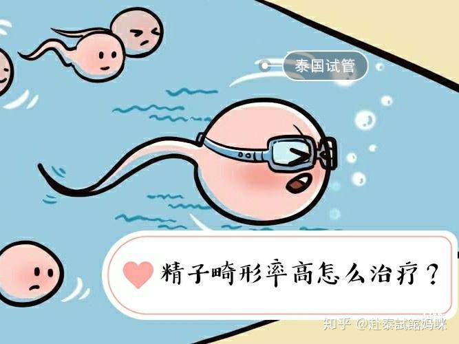 知识科普精子畸形率高怎么治疗