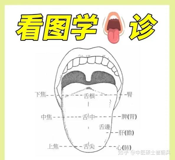 史上最全舌诊图谱!【珍藏版】 - 知乎