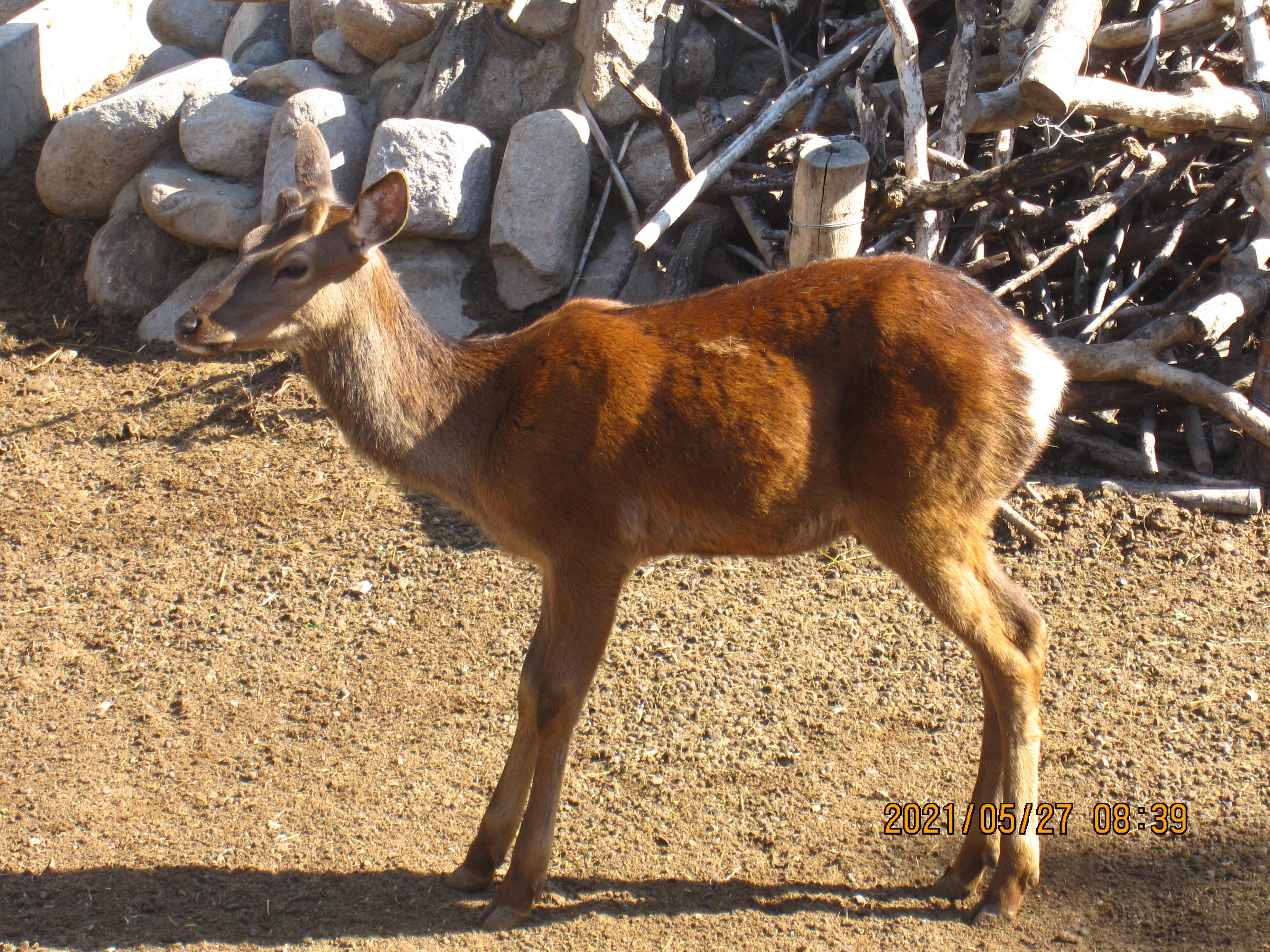 试写小说《景门》福州長乐 → 燕京怀柔