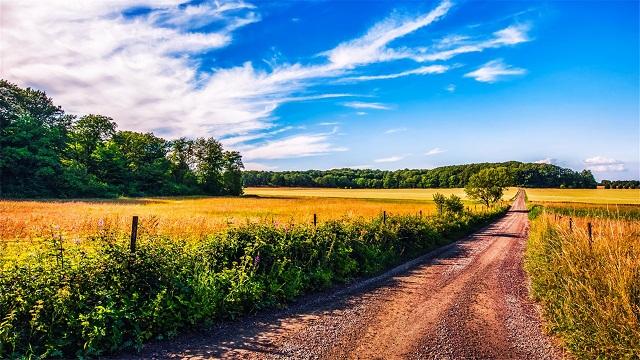 什么样的生活才算得上丰富多彩 v2-68a73d6971f4d4cd52db8a39ccce1e69_1440w.jpg?source=172ae18b