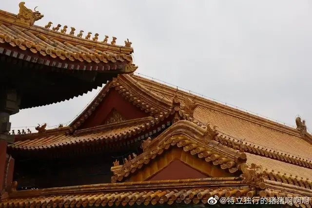 45°視角的故宮也別是一番景色,宮殿的脊獸,雨花閣的金頂和跑龍,室內