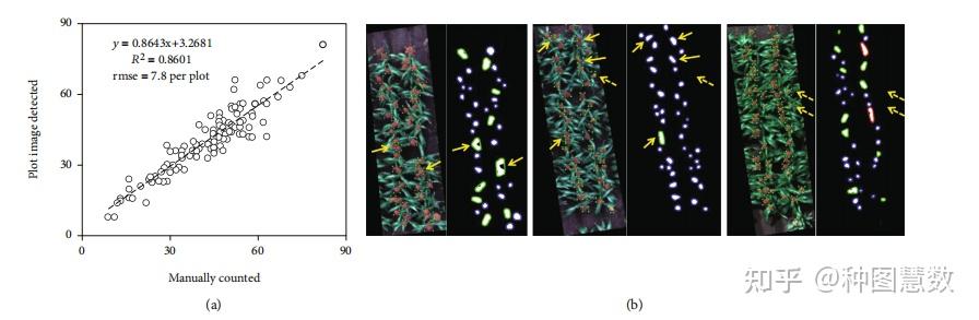【植物表型】从多光谱无人机图像中检测高梁植物和头部特征 - 知乎