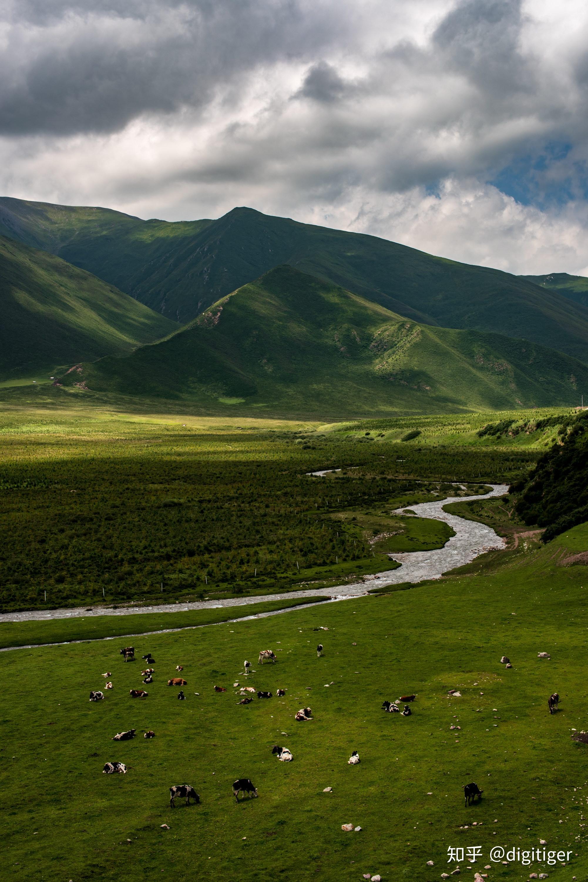 丘独立自然区段乌素特水上雅丹g315西台吉乃尔湖段g315老茫崖至乌素特