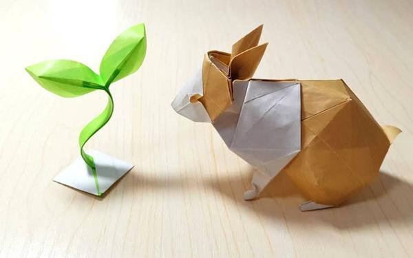 你能用纸做出什么有意思的东西?